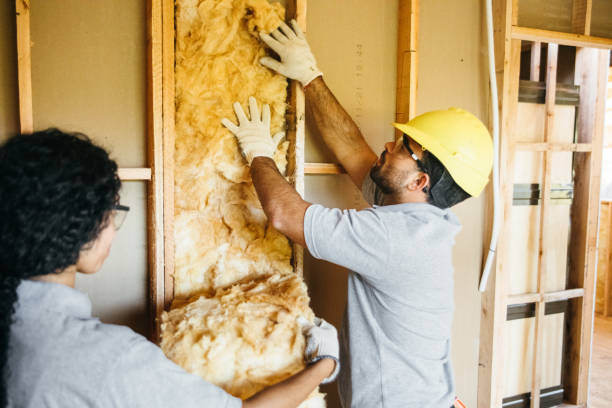 Best Crawl Space Insulation  in Indian Lake, TX